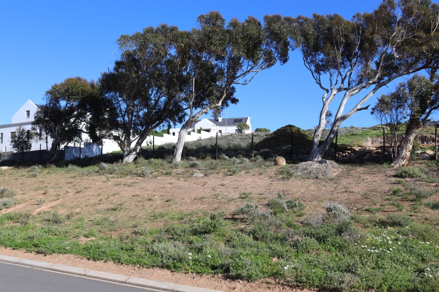 0 Bedroom Property for Sale in Steenbergs Cove Western Cape